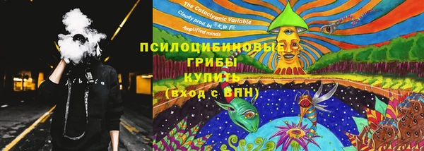 крисы Абинск