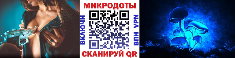 Псилоцибиновые грибы GOLDEN TEACHER  как найти закладки  Хасавюрт 