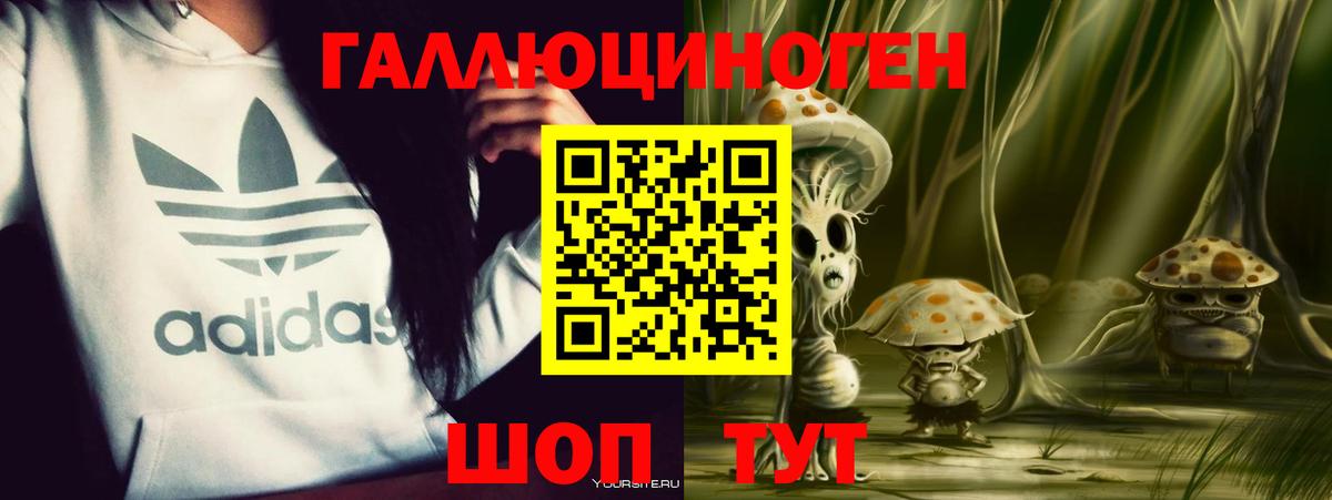 Галлюциногенные грибы прущие грибы  Вход с VPN  Хасавюрт 